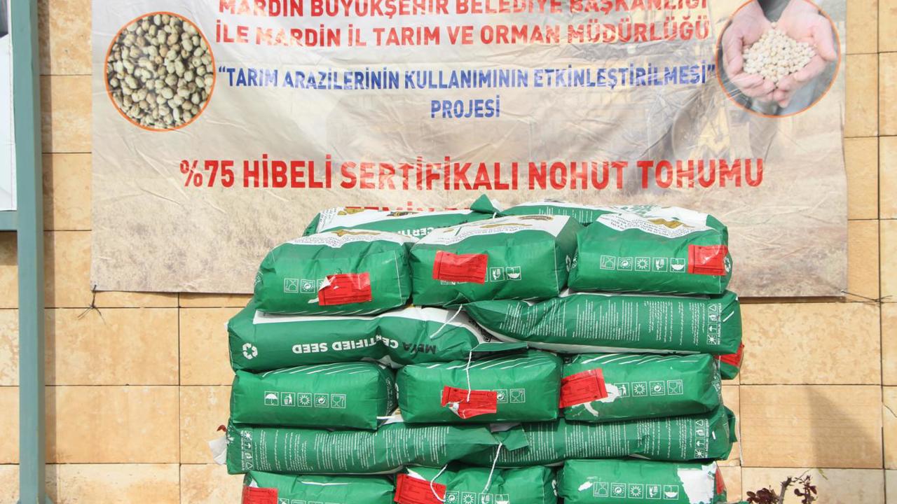 Mardin’de 668 çiftçiye yüzde 75 hibeli mercimek ve nohut tohumu dağıtıldı
