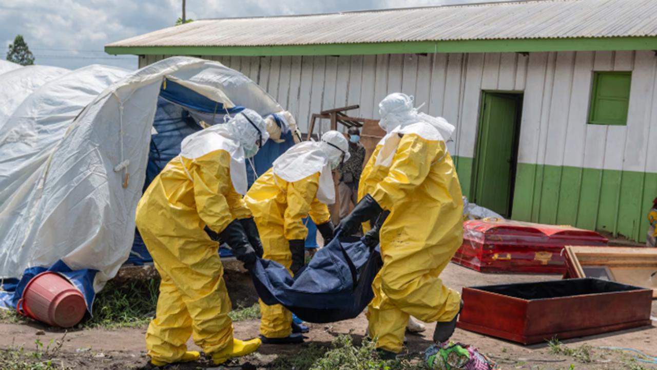 Kongo'da Ebola salgını nedendiyle 5 binden fazla can kaybı