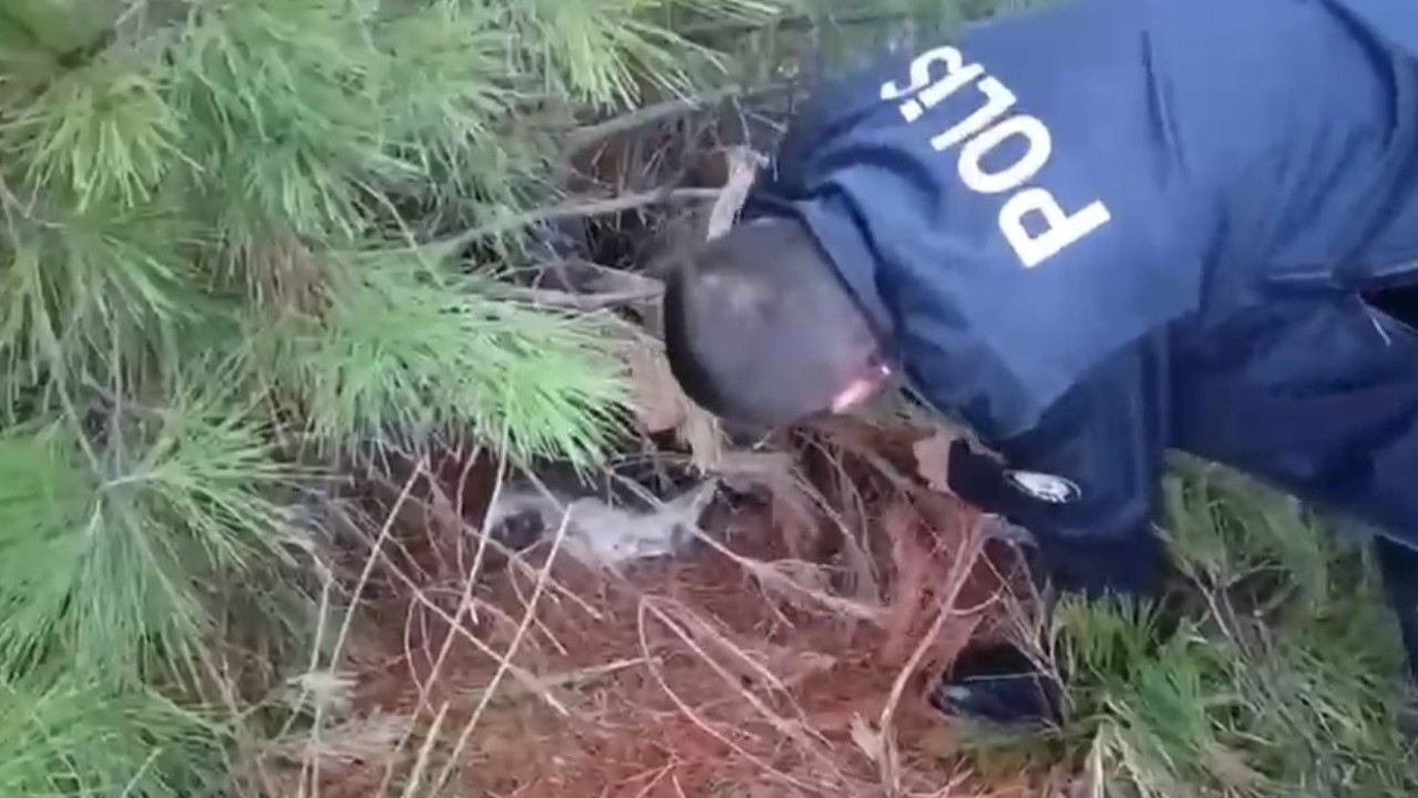 Polis kaçak avcılık tuzağı ele geçirdi
