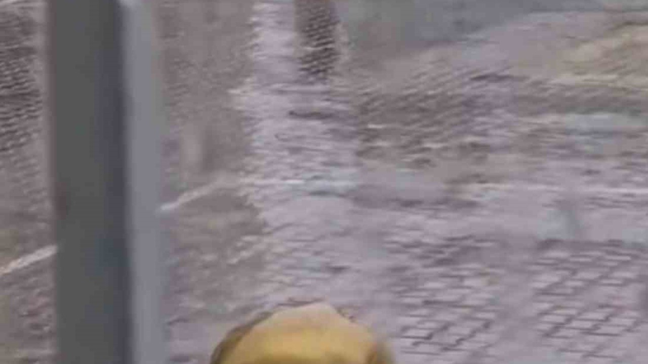 Yağmur altında İstiklal Marşı’na eşlik eden öğrenci duygulandırdı
