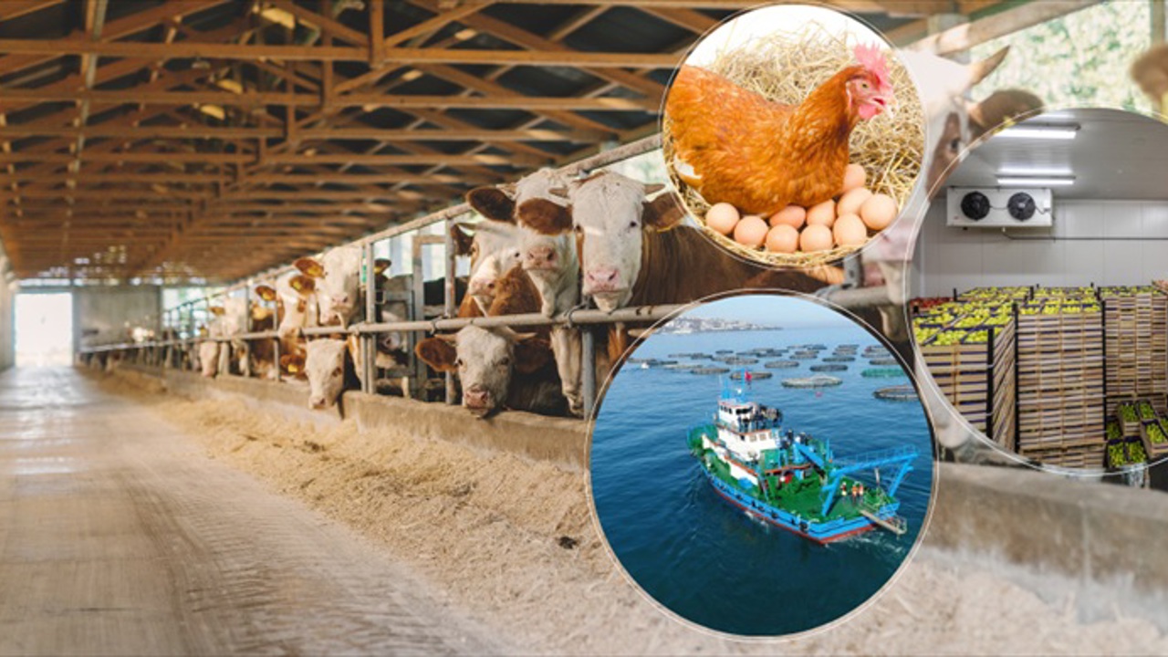 Tarım ve Kırsal Kalkınmaya 50 Milyon Avroluk Yatırım Fırsatı