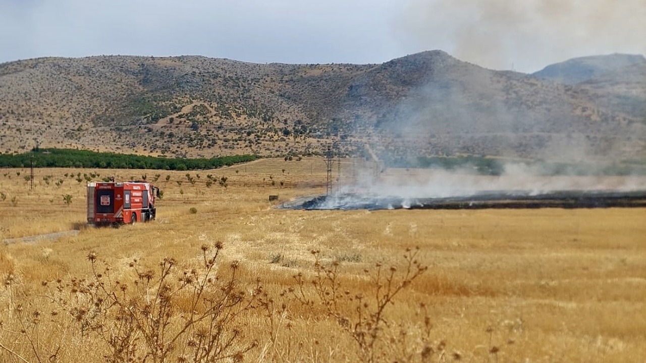 Anız Yangınında 40 Dönüm Alan Zarar Gördü