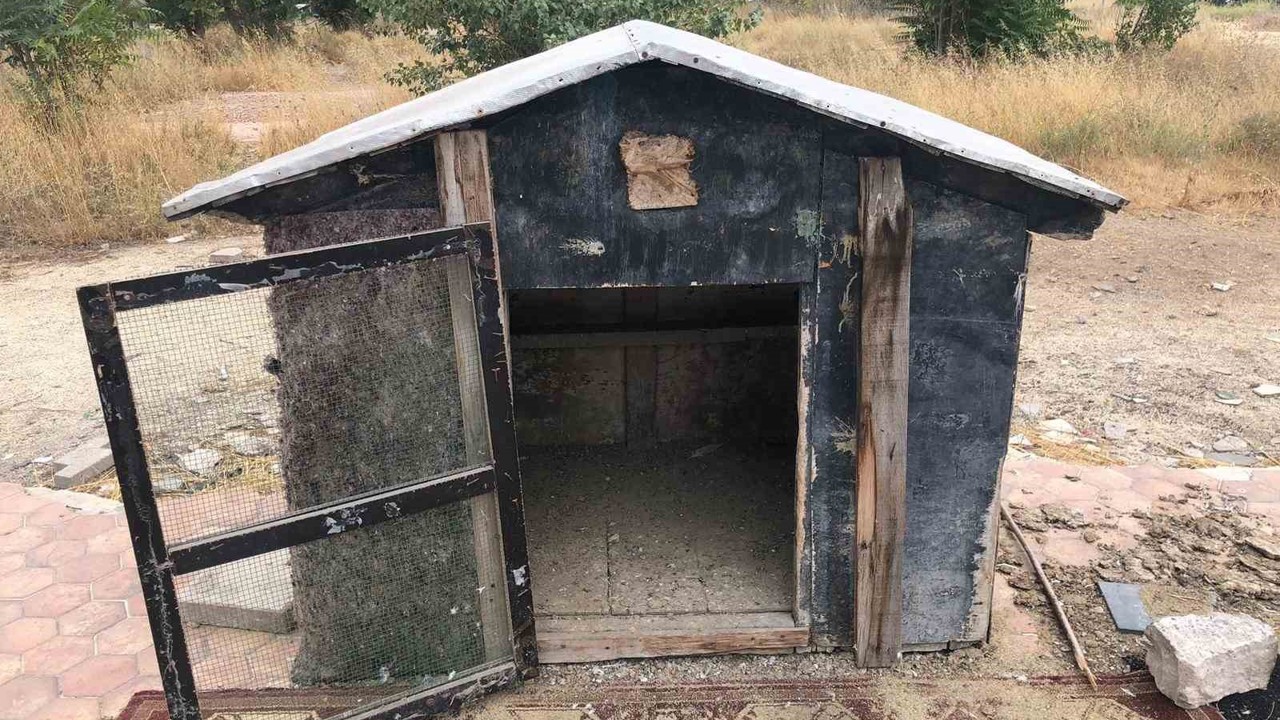 Cinayete kurban giden şahsın kuşları beslediği kafes boş kaldı
