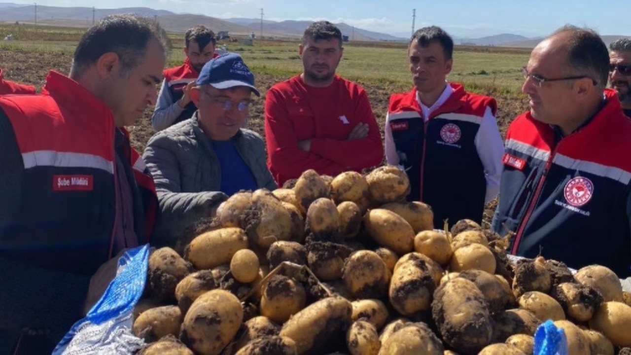 Bayburt’ta patates hasadına başlandı
