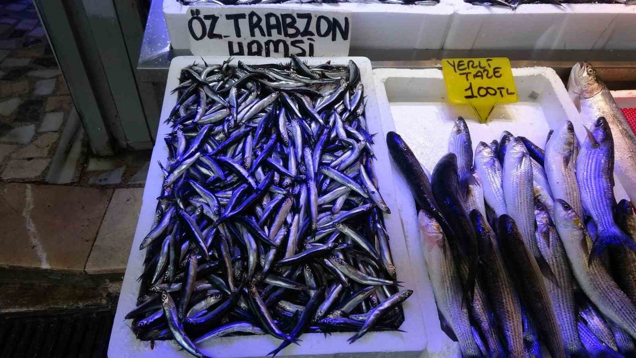 Balıkçılardan "Patlatılan insansız deniz araçları hamsiyi kaçırttı" iddiası
