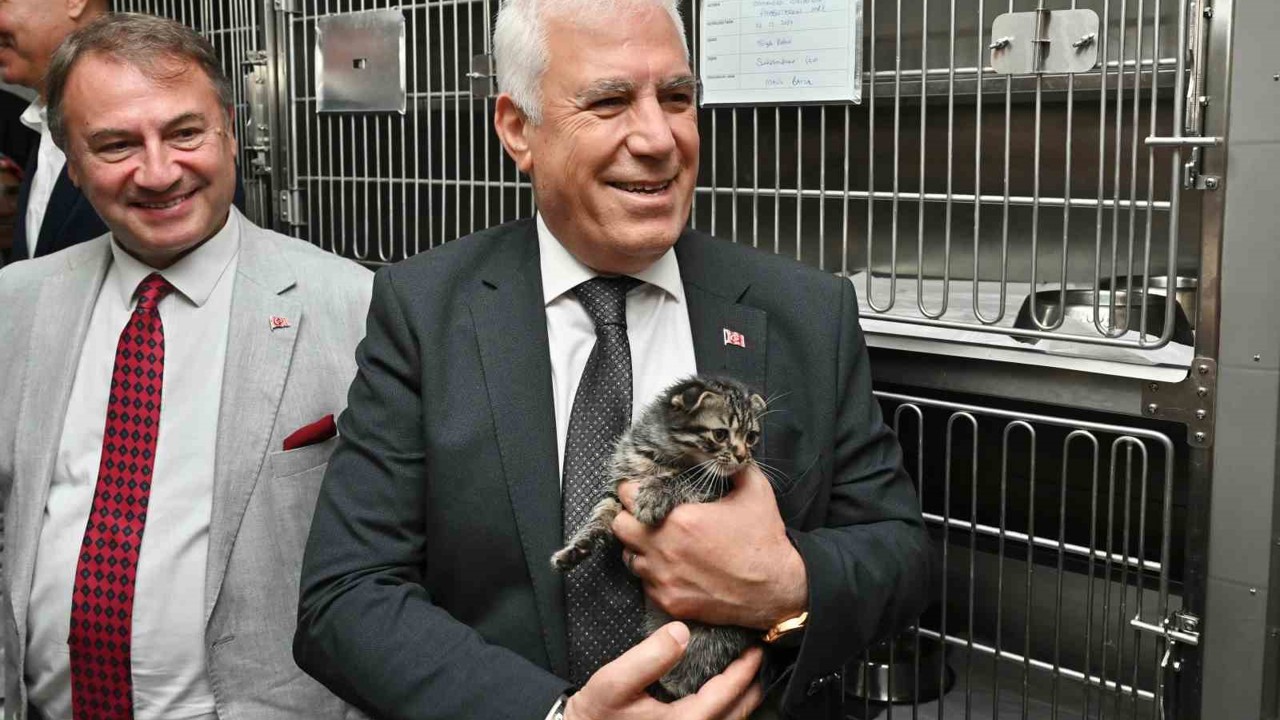 Büyükşehir’den can dostlara şefkat eli
