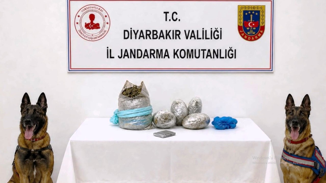 Diyarbakır’da 217 Bin 608 Kök Kenevir Ve Skunk İmha Edildi