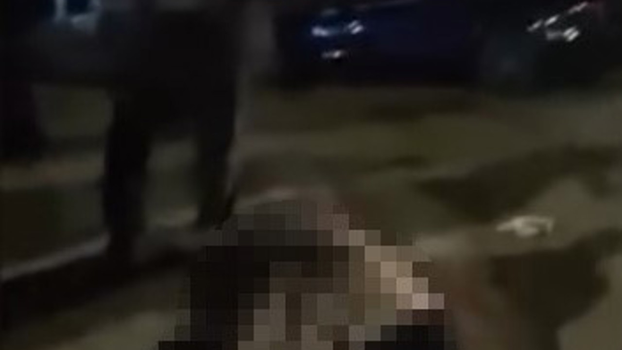 Muş-Bitlis yolunda otomobilin çarptığı yaşlı kadın hayatını kaybetti
