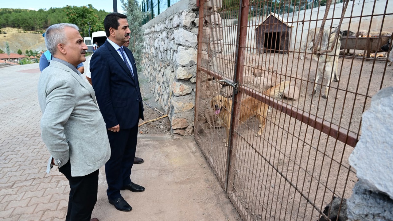 Başkan Taşkın, Hayvan Barınağında İncelemelerde Bulundu