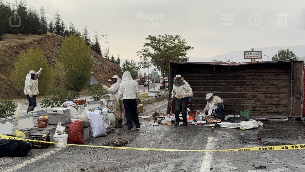 Malatya’da Arı Yüklü Kamyon Devrildi: 3 Yaralı