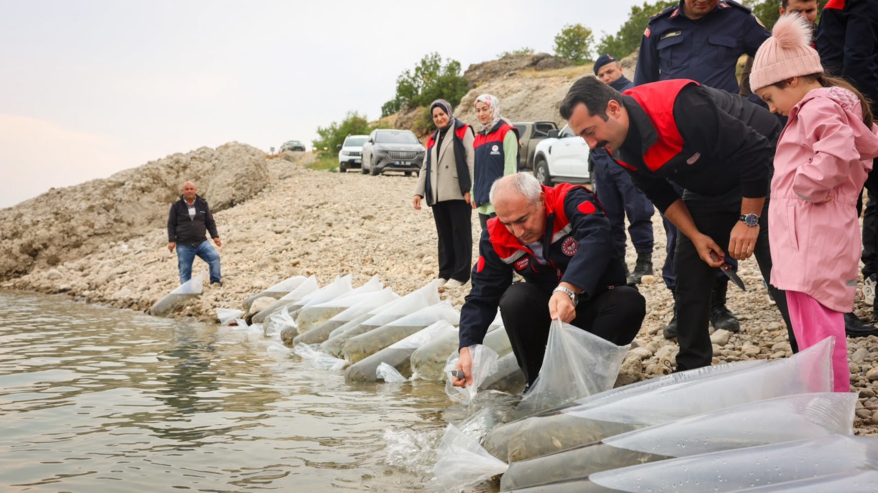 Malatya’da 1 Milyon 300 Bin Sazan Yavrusu Suya Bırakıldı