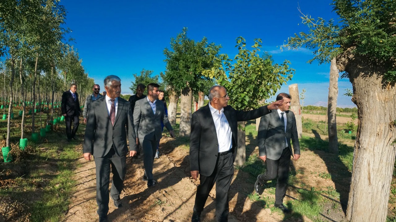 İstanbul’da Ağaç Tartışması, Malatya’da Örnek Uygulama Türkiye Gündeminde