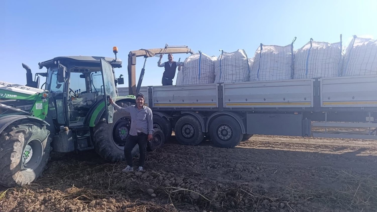 Patnos’ta patates hasadı başladı
