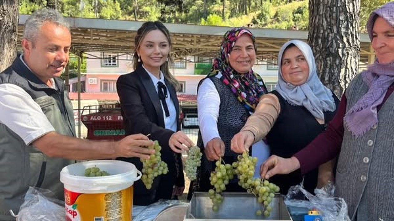 İklime Dirençli Ormancılık Projesi
