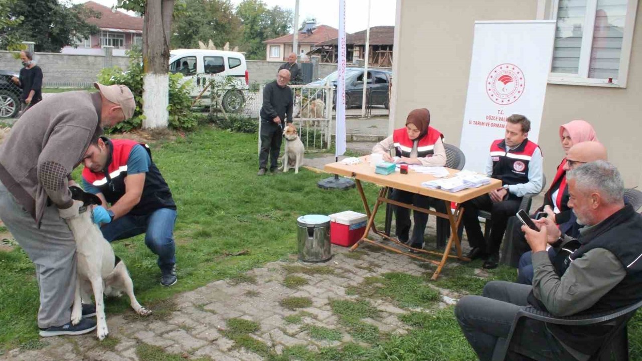 Son tarih 31 Aralık 2025
