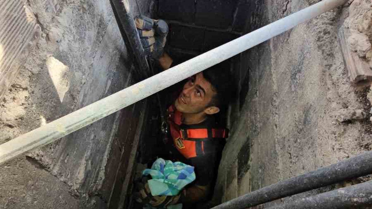 Apartman boşluğuna düşen kedi zorlu operasyonla kurtarıldı
