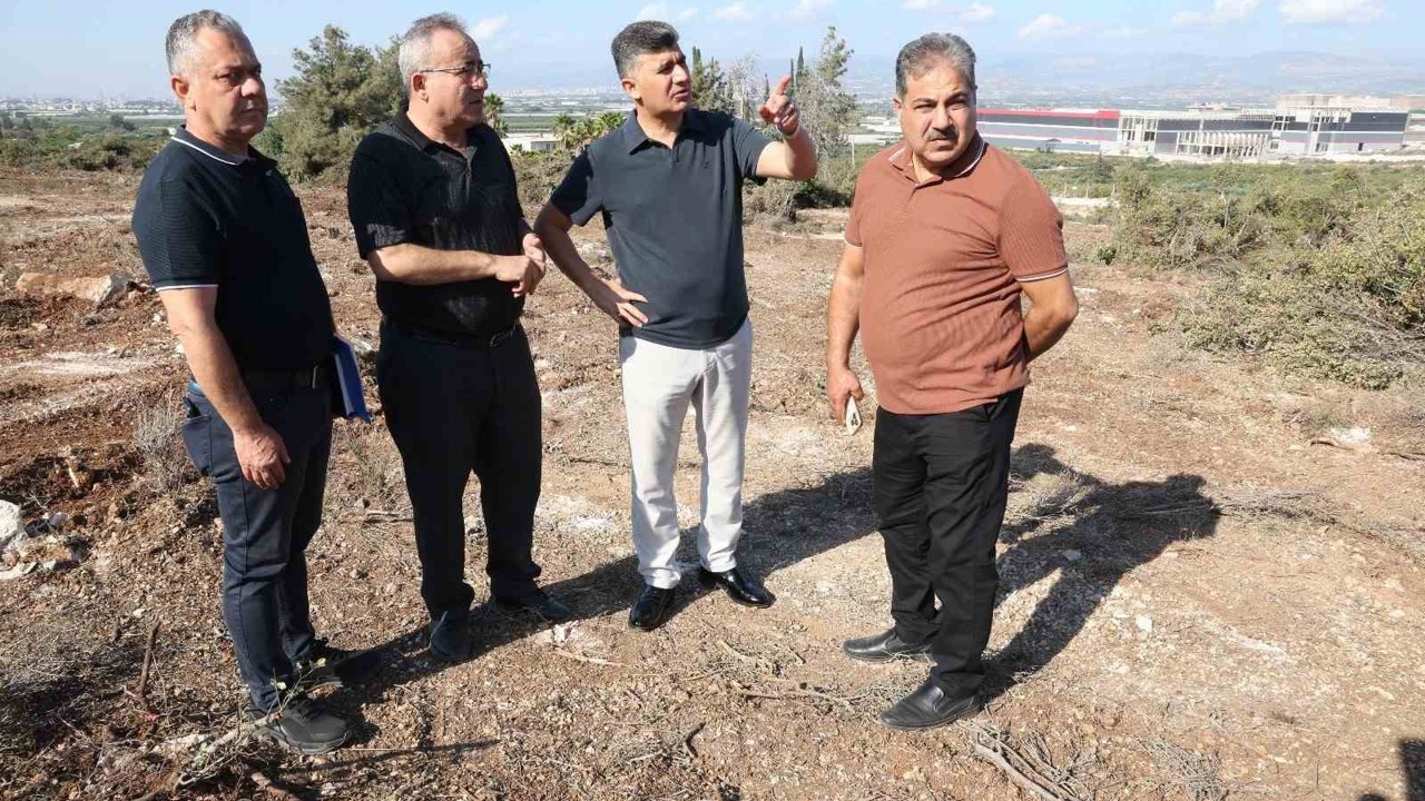 Akdeniz Belediyesinden sokak hayvanları için doğal yaşam alanı
