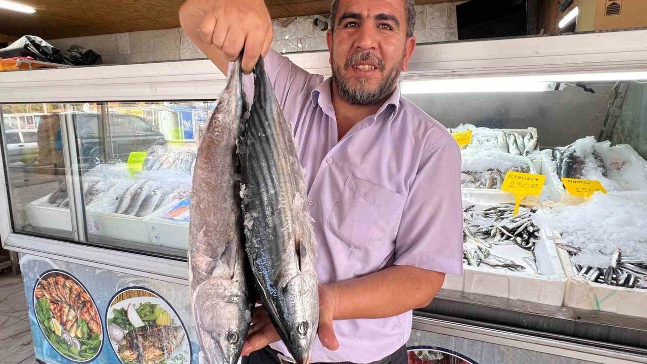 Deprem sonrası Kahramanmaraş’tan 54 ülkeye balık ihracatı
