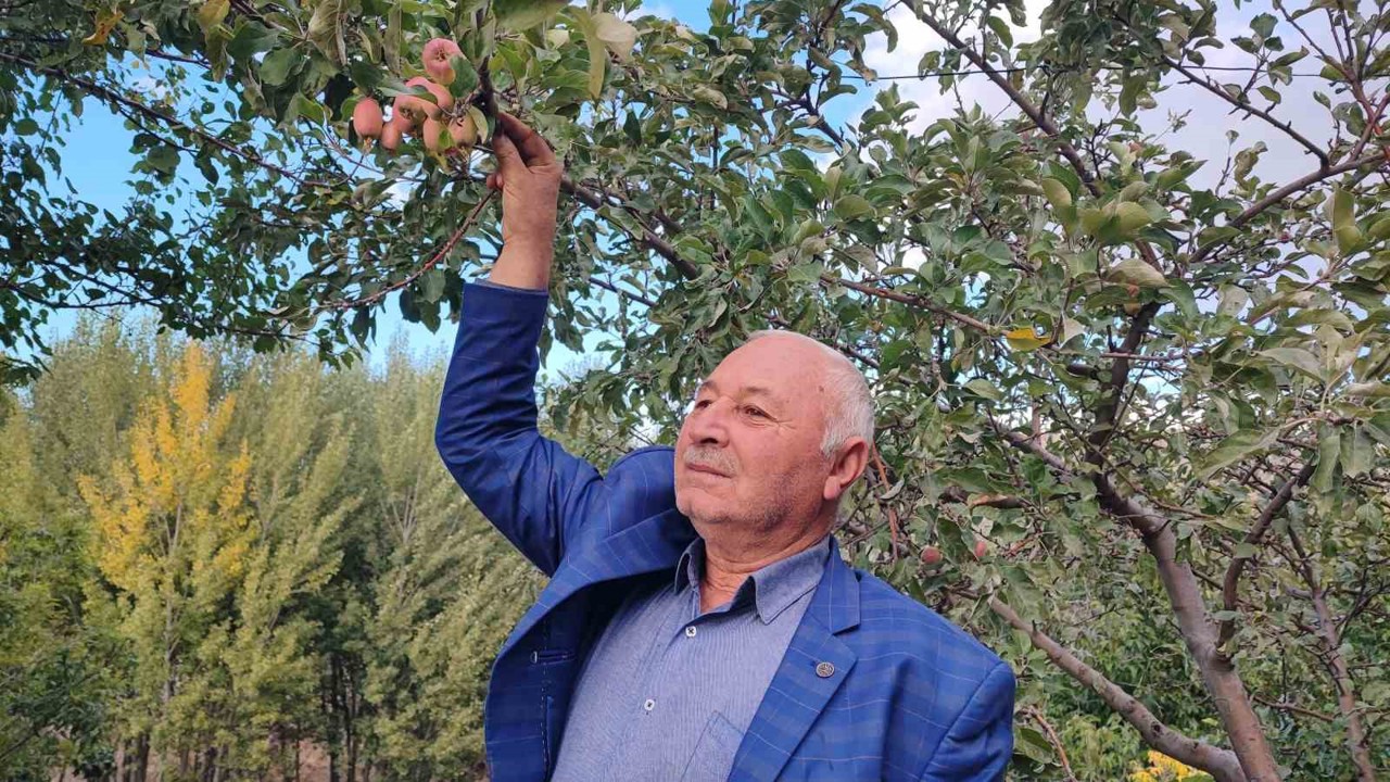 60 yaşındaki çiftçi: "İlk kez böyle bir şey görüyorum"
