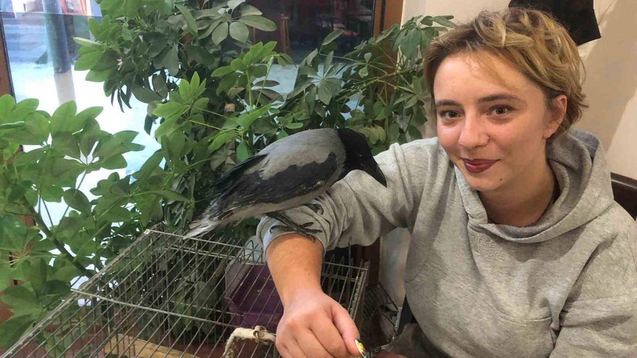 Kahvehane bağımlısı karga mahallenin maskotu haline geldi
