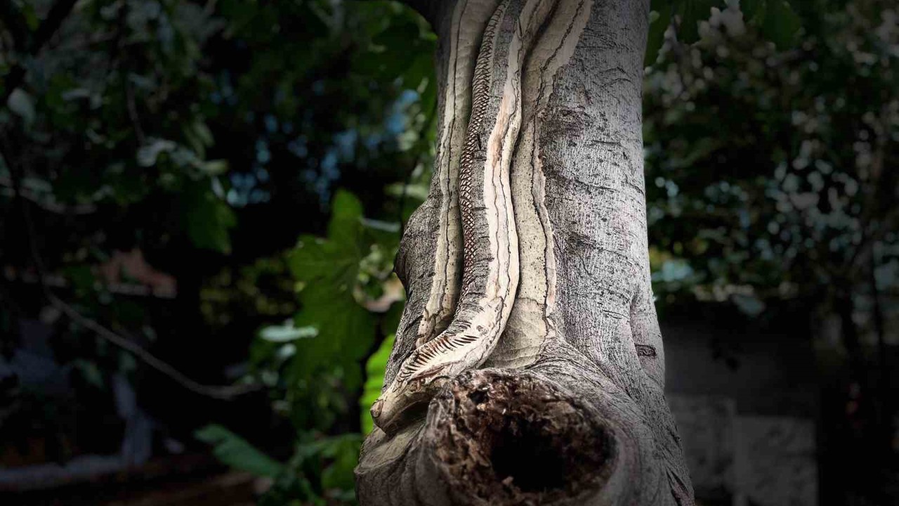 Unutulan sanatı emekliler hayata döndürüyor
