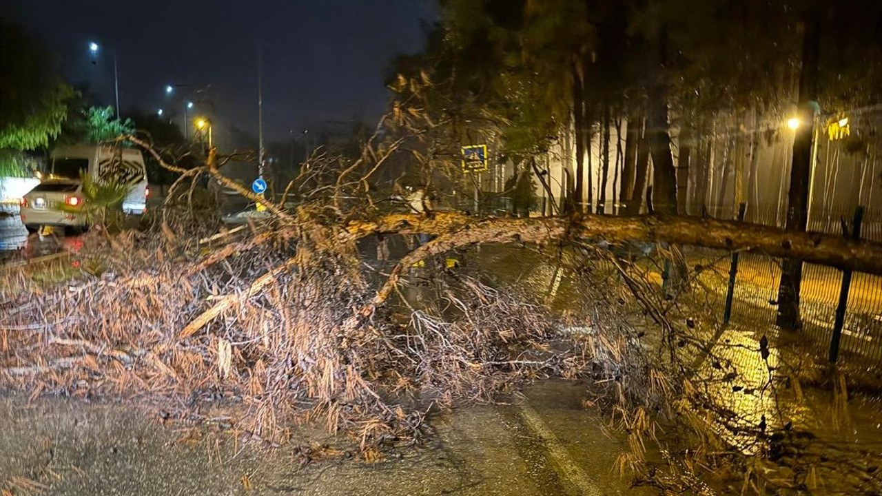 Alanya Belediyesi olumsuz hava şartlarına karşı teyakkuzda
