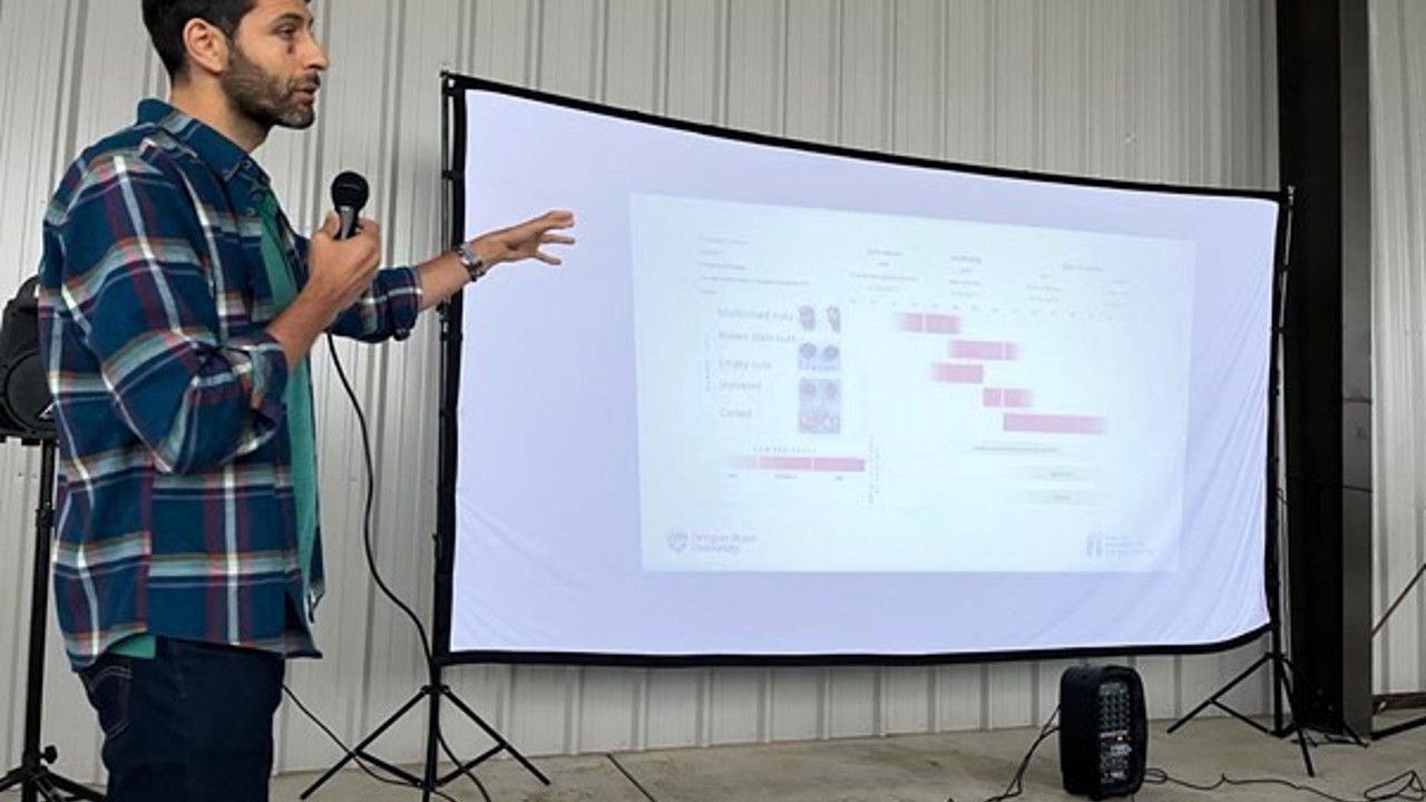 ABD’de, kahverengi kokarca ile mücadeleyi anlattı
