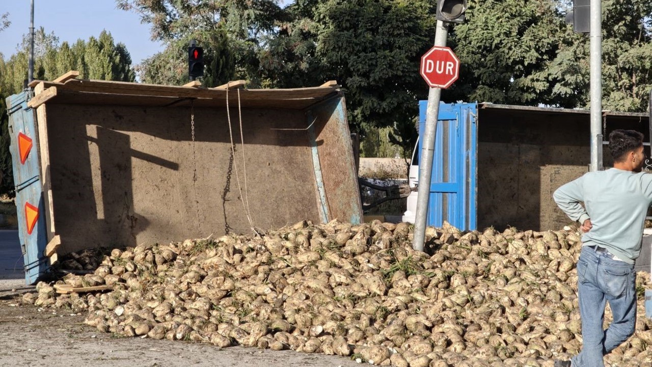 Muş’ta şeker pancarı yüklü traktör devrildi
