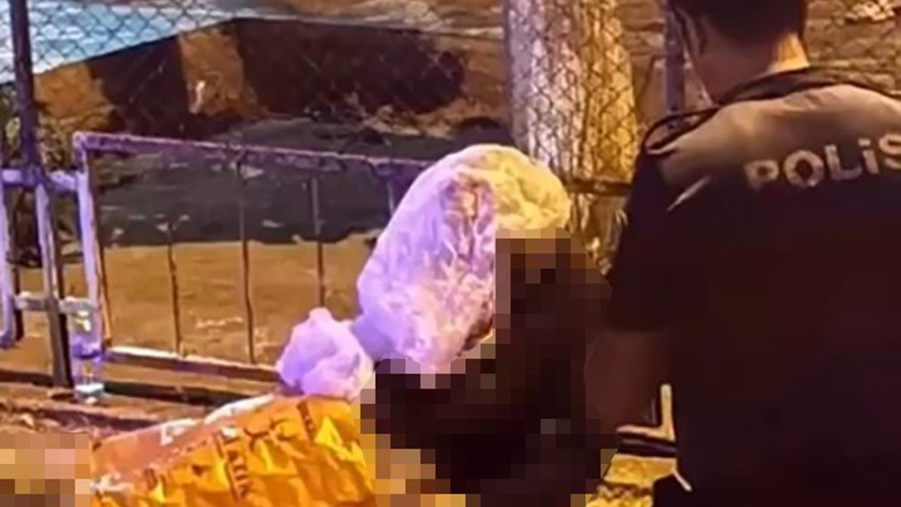 İzmir’deki bıçaklı dehşette cinayet şüphelisi tutuklandı
