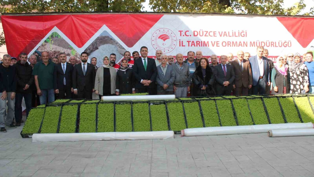 Düzce’de yüzde 75 destekli 232 bin 500 adet marul fidesi dağıtıldı
