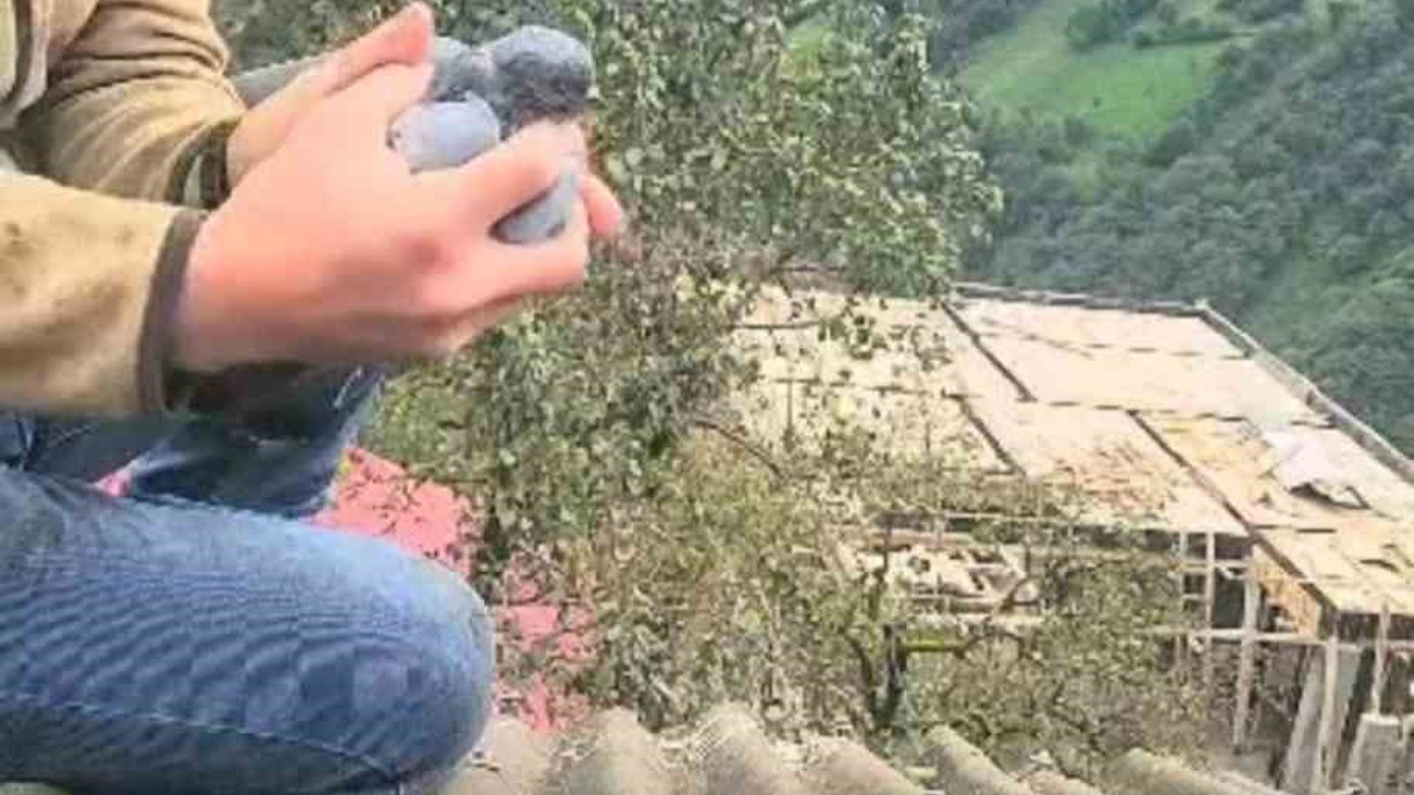 Köy sakininin dikkati ve duyarlılığı bir güvercini hayata bağladı
