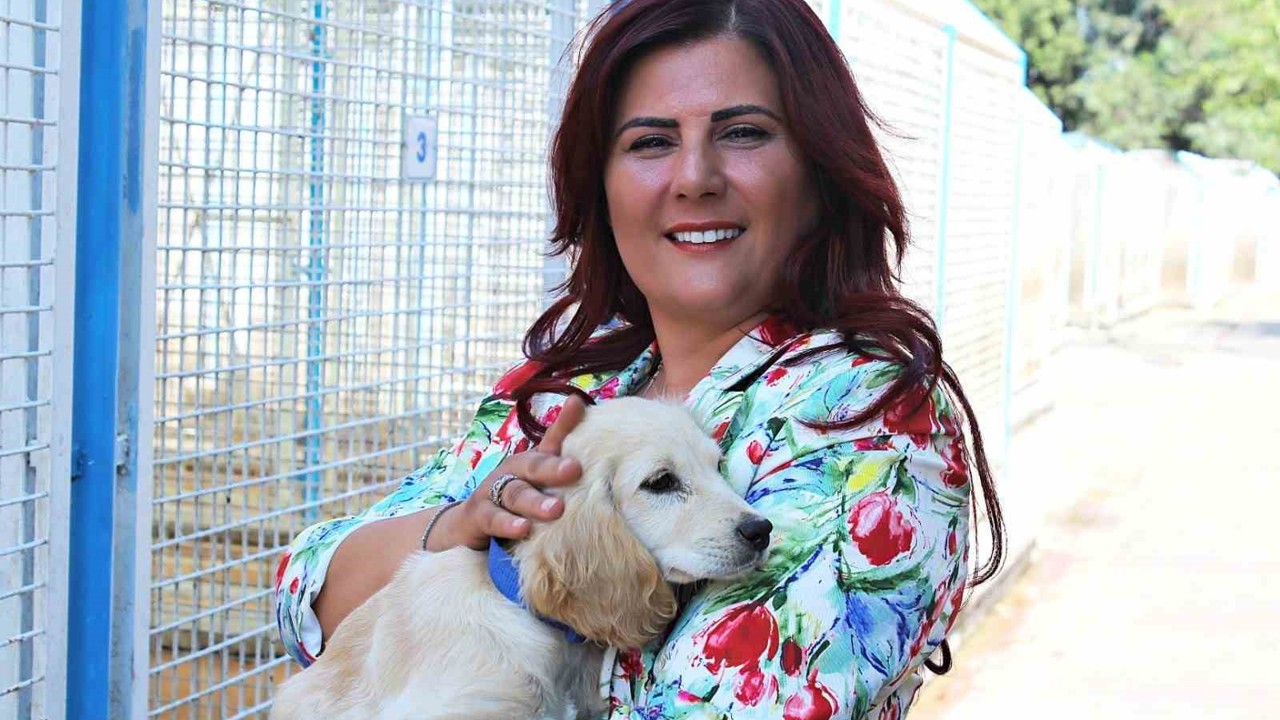 Büyükşehir’den sokak hayvanları için 244 bin metrekarelik yaşam alanı
