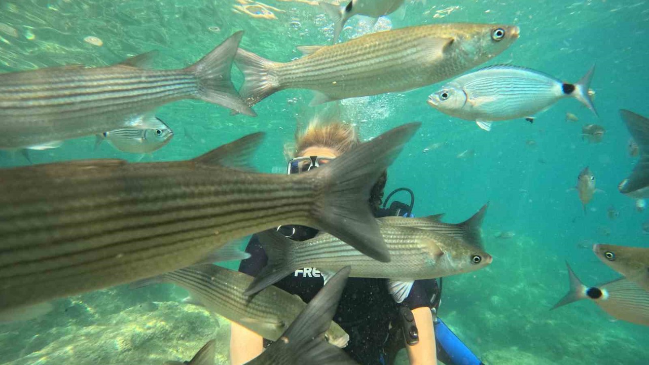 Marmaris’te dalış turizmine yoğun ilgi
