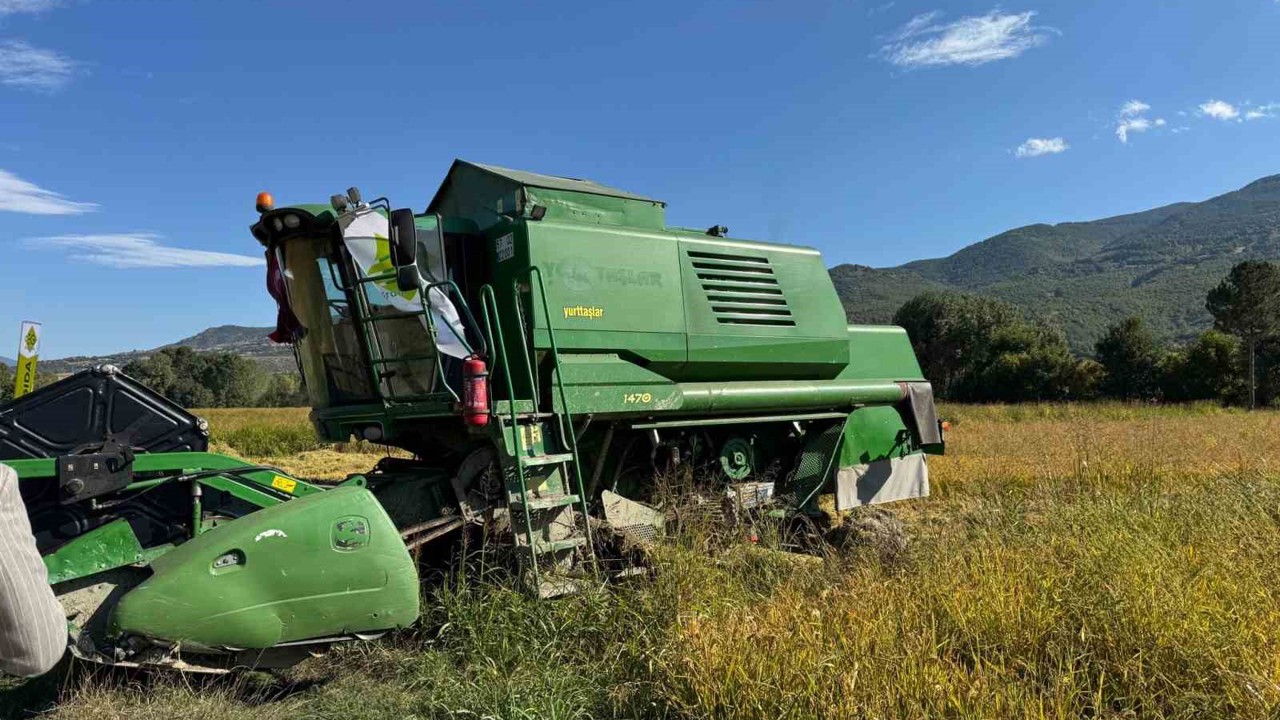 TAKE projesi kapsamında ekilen çeltiğin hasadına başlandı
