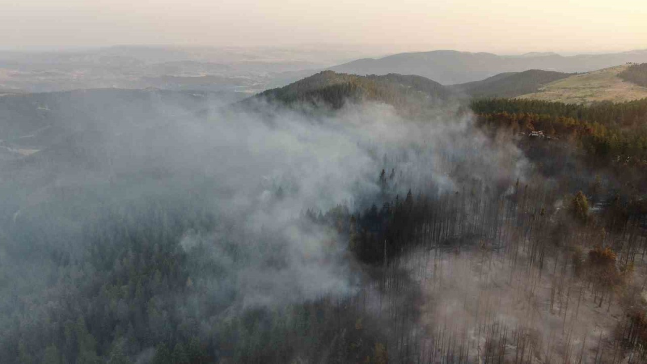 Vali Taşolar’dan orman yangınını ihbar eden çocuğa teşekkür
