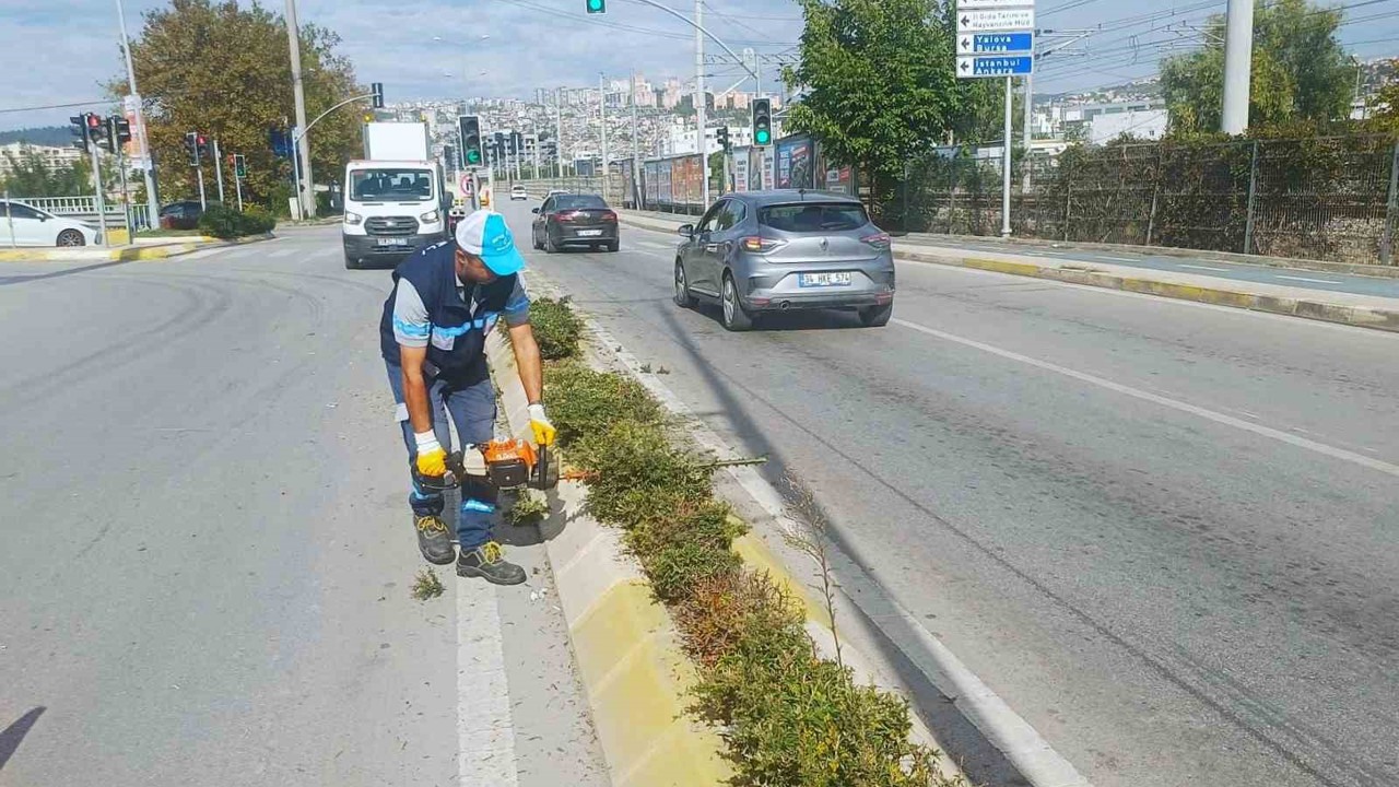 İzmit’te sonbahar budaması
