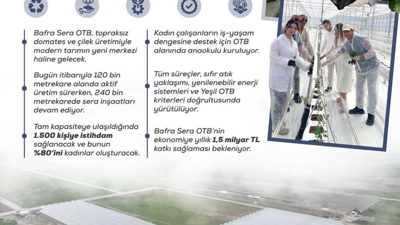 Kadın eliyle yeşeren tarım: Bafra Sera OTB, yıllık 1,5 milyar liralık katkı sunacak
