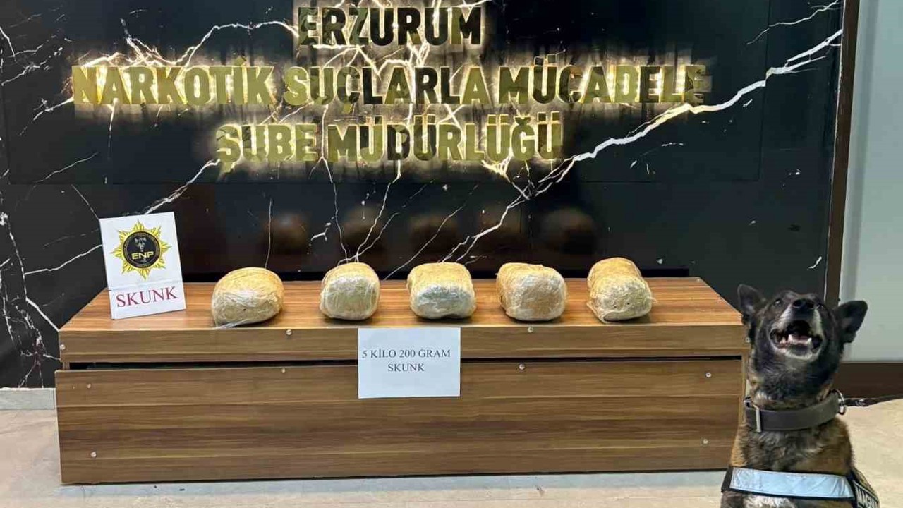 Erzurum’da 5 kilo 200 gram skunk maddesi ele geçirildi
