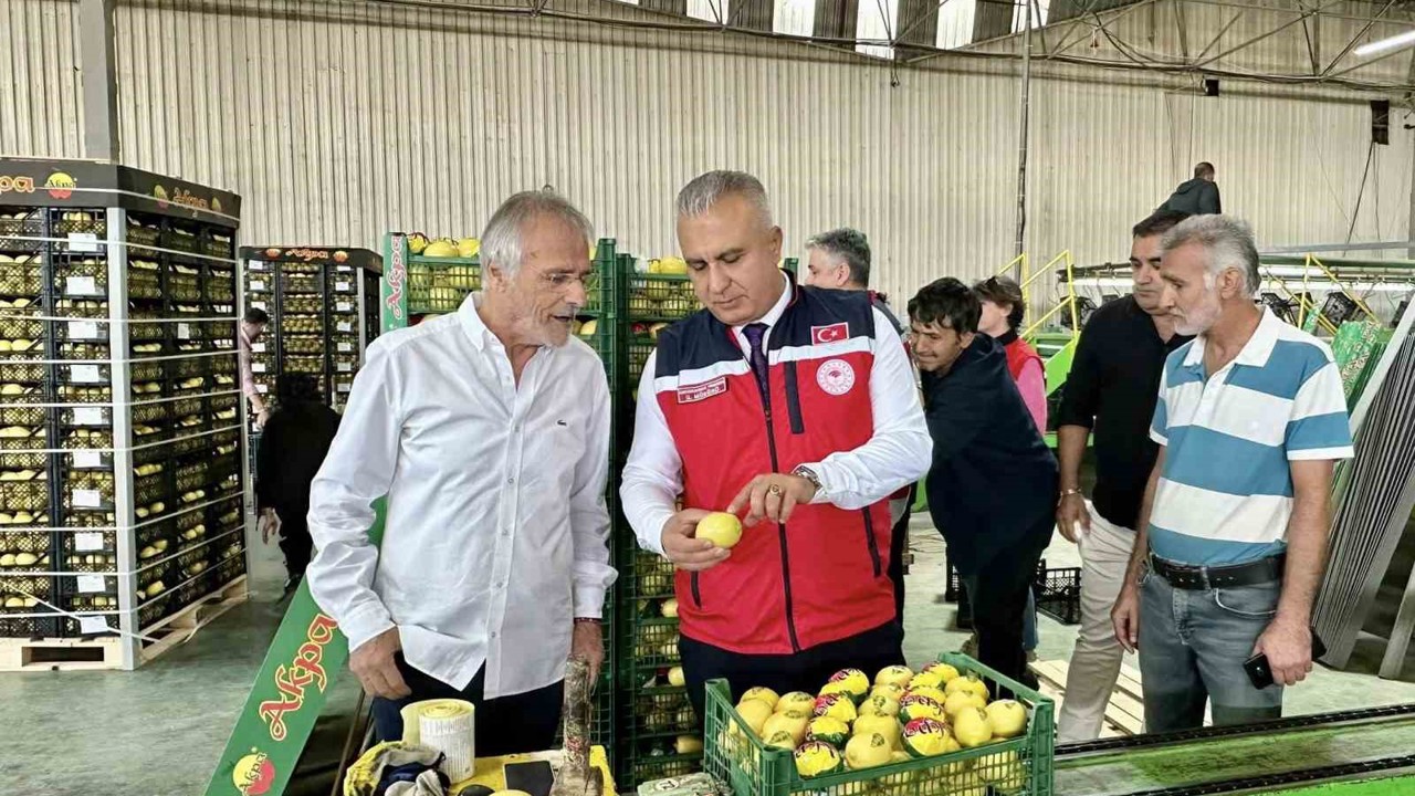 Hatay’da limon ihraç eden firmalar denetlendi
