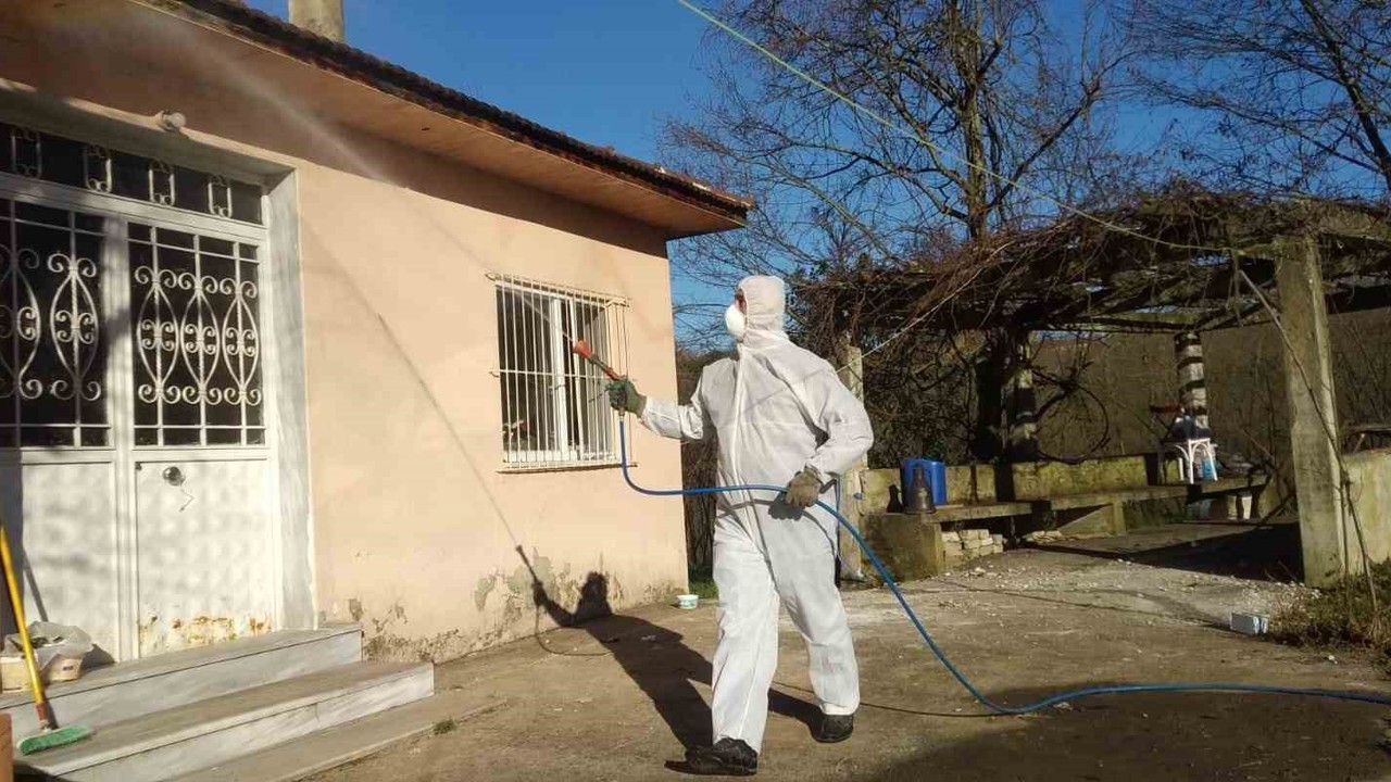 Düzce’de kahverengi kokarca ile kışlak mücadelesi devam ediyor
