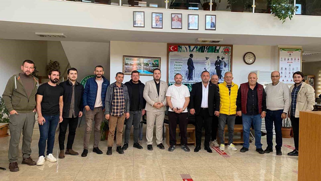 Zeytinin kilogram maliyeti açıklandı
