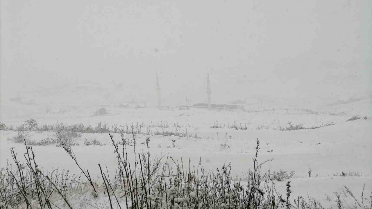 Gümüşhane’nin yüksek kesimleri kara teslim oldu
