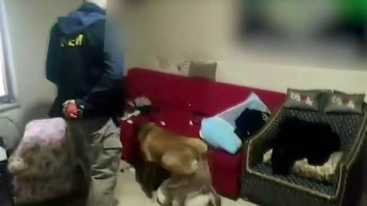 Sokak satıcılarına büyük darbe: 12 şahıs tutuklandı
