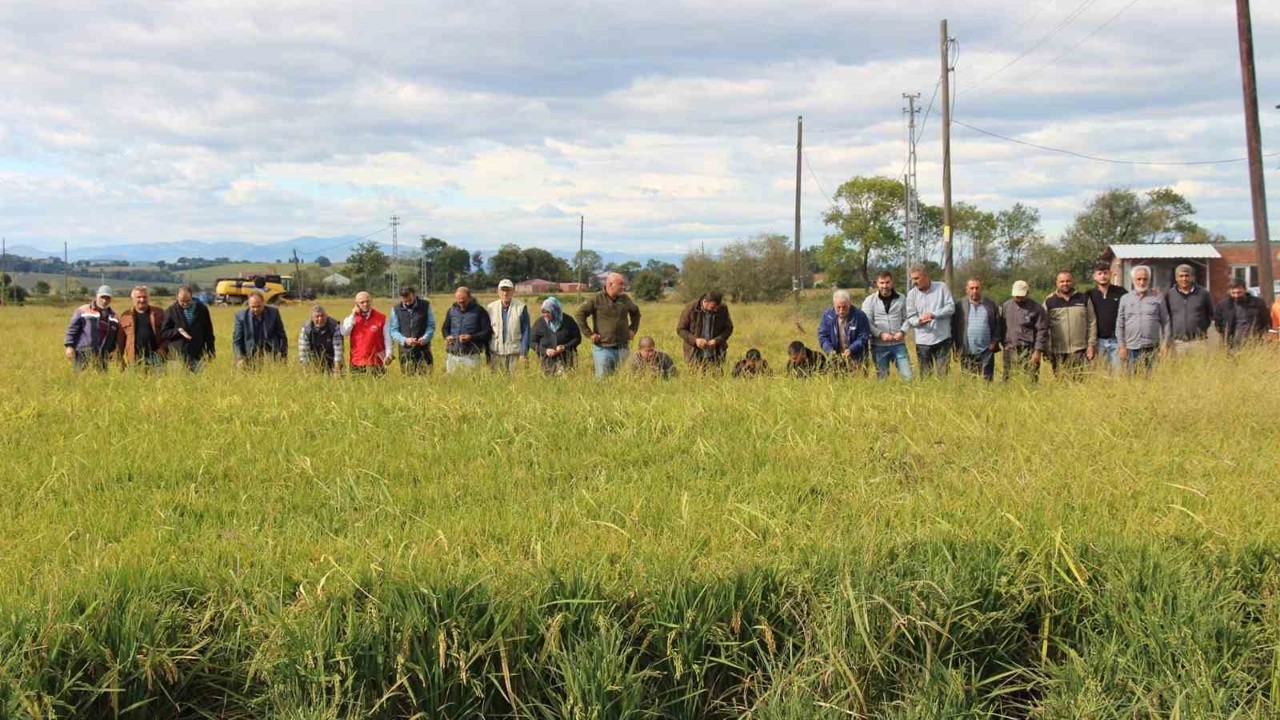 19 Mayıs ilçesini dolu vurdu
