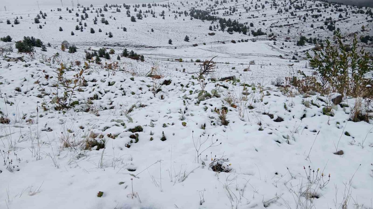 Posof’ta kar yağışı etkili oldu
