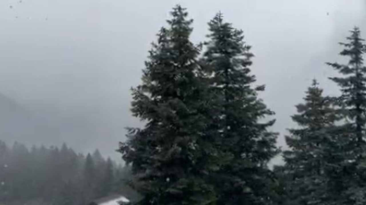 Ilgaz Dağı’nda kar yağışı etkili oluyor
