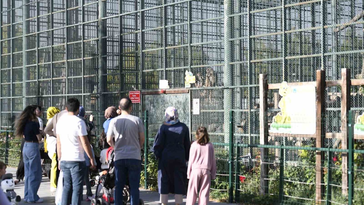 Ücretsiz olan hayvanat bahçesine ziyaretçi akını
