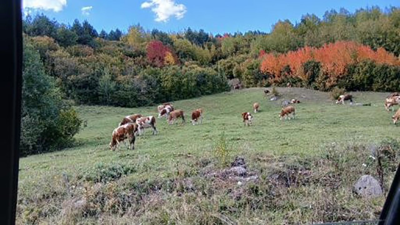 Posof’ta sonbahar güzelliği
