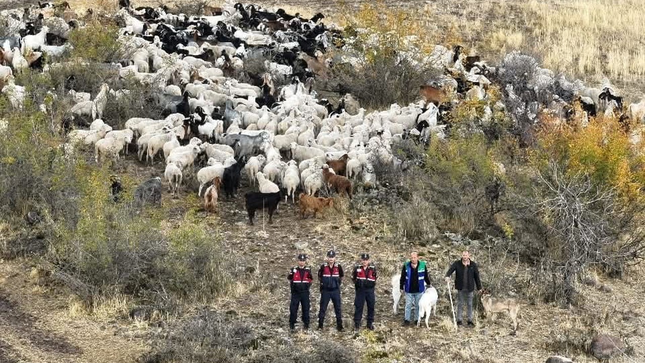 Kayıp 544 adet küçükbaş hayvanı dron ile bulunup sahibine teslim edildi
