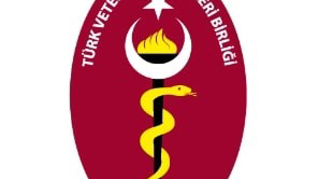 TVHB, DKMP’nin yalnızca 6 veteriner hekim kadrosu açmasına tepki gösterdi
